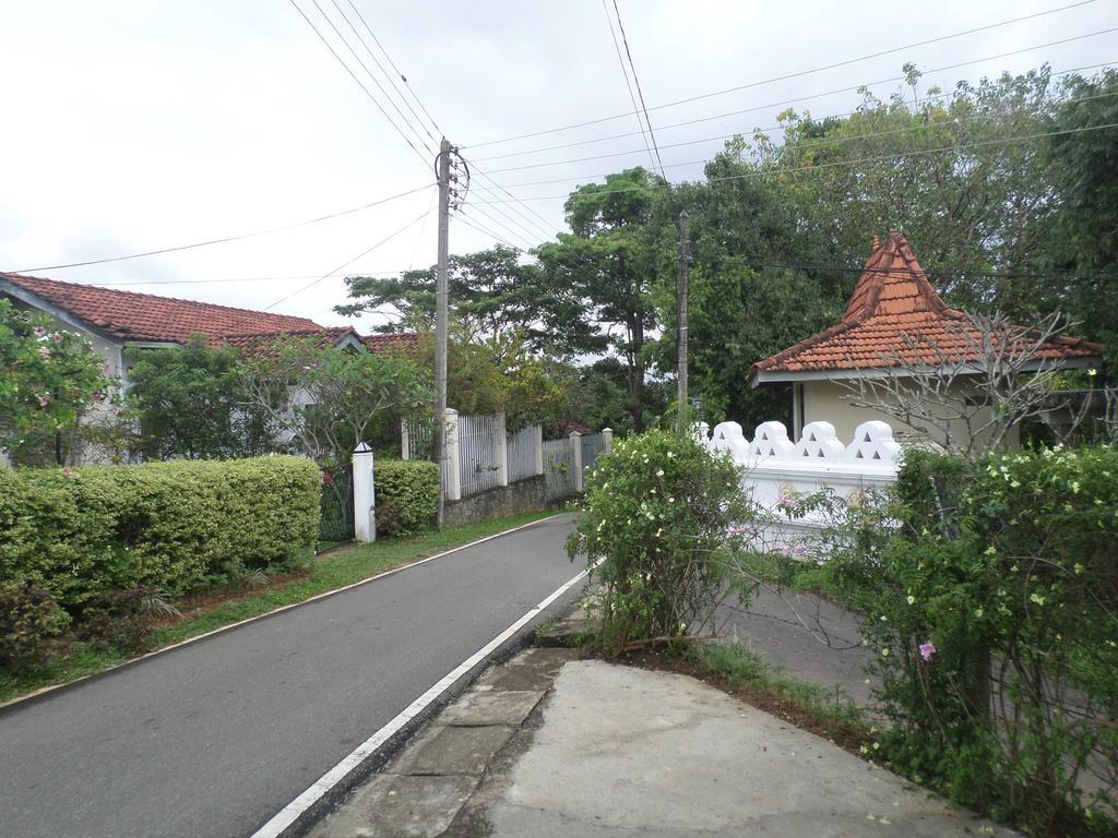 Primrose Hill Holiday Bunglow Kandy Exterior photo