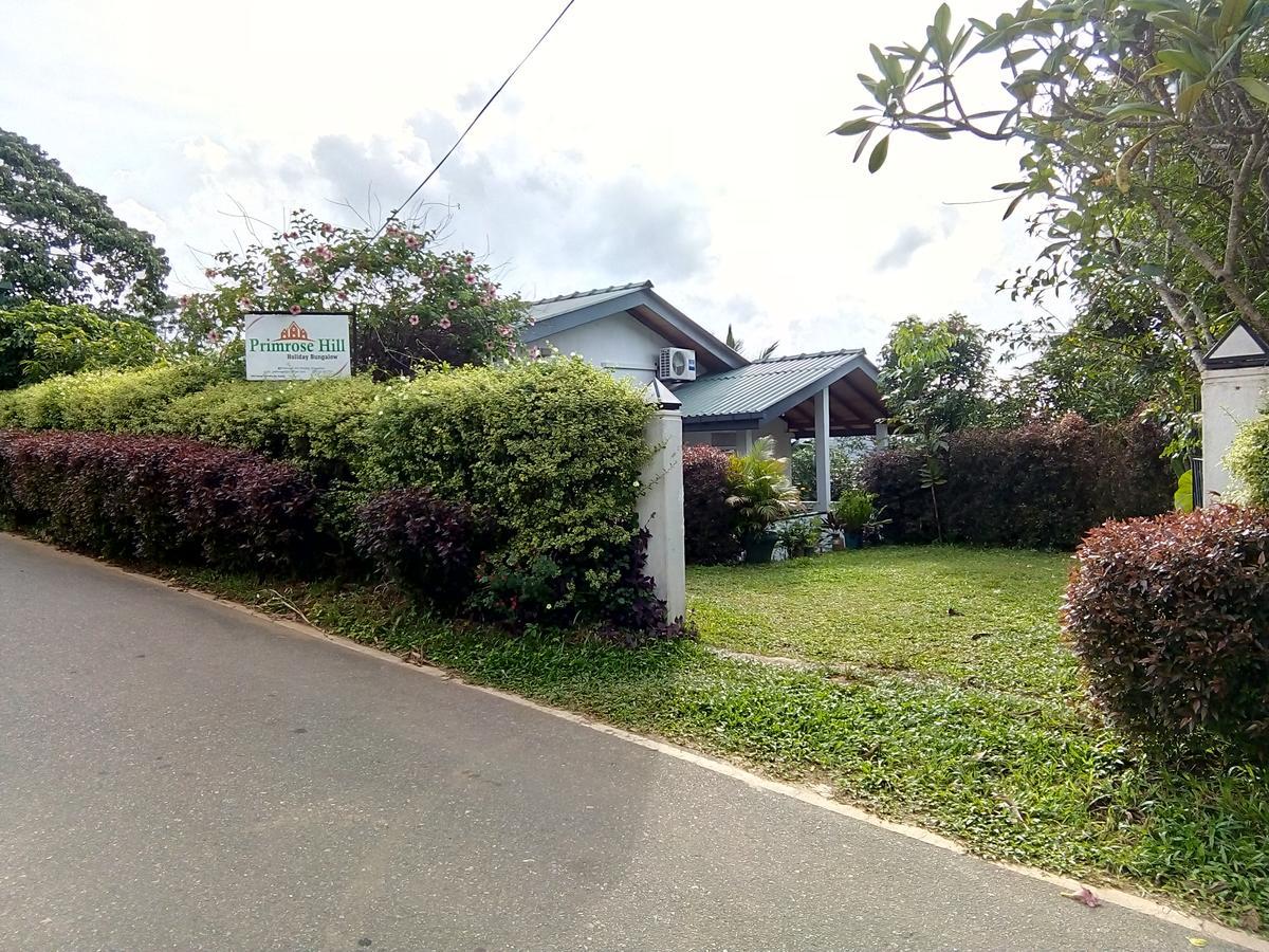 Primrose Hill Holiday Bunglow Kandy Exterior photo